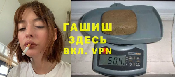 индика Абаза