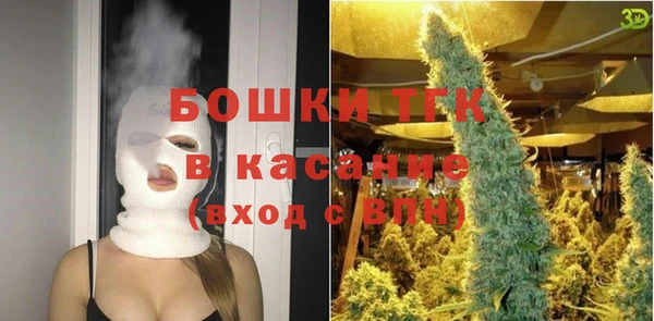 индика Абаза